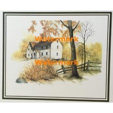 Scene  - #XBSC1843  -  PRINT